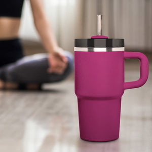 6x 21,5 cm Stanley Glasstrohhalme für 0,59 20oz Cup & Quencher