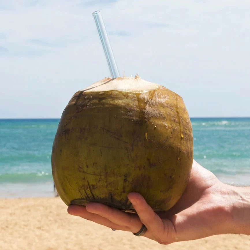 Wiederverwendbare HALM Glasstrohhalme in einem Glas mit Kokosnuss am Strand als nachhaltige Trinkhalm-Alternative