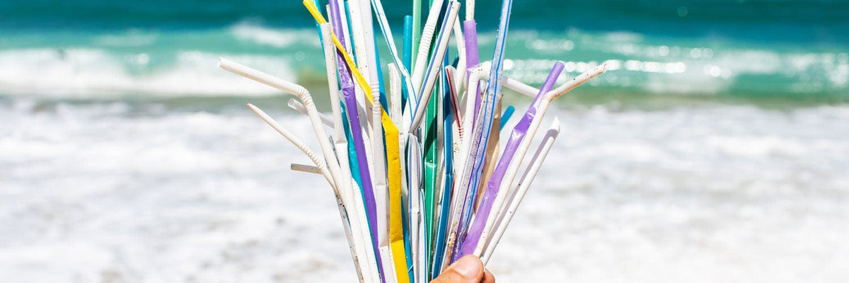 Pailles en verre réutilisables de HALM, réunies comme symbole contre la pollution des océans par le plastique à usage unique.