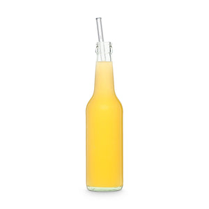 glas trinkhalm in zitrone limo flasche nachhaltig alternativen zum plastik strohhalme öko