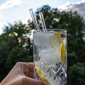 HALM Glasstrohhalme Am Ende ergibt alles einen Gin 6x 20cm Glasstrohhalme mit Gin Spruch Geschenk