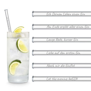 Lustigen Sprüche Geschenk mit GIN-Spruechen gravierte glastrinkhalme fuer gin cocktails party gift