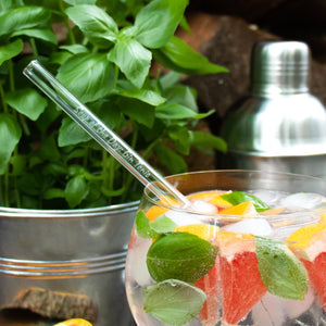 HALM Glasstrohhalme Soup of the Day: Gin Tonic 6x 20cm Glasstrohhalme mit Gin Spruch Geschenk