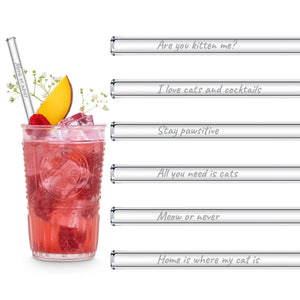 Fun Quotes about Cats sayings on glass straws set of 6 reusable straws for cocktails and milkshakes
