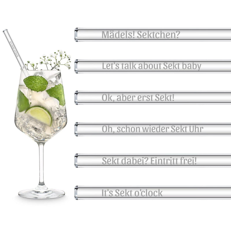 6 lustige Sekt Sprüche Geschenk Edition gravierte Glasstrohhalme von